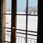 Apartment Familienparadies Am Bodensee - 87m2 Haushaelfte Mit Garten & Heimkino