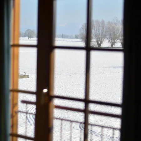 Appartement Familienparadies Am Bodensee - 87m2 Haushaelfte Mit Garten & Heimkino
