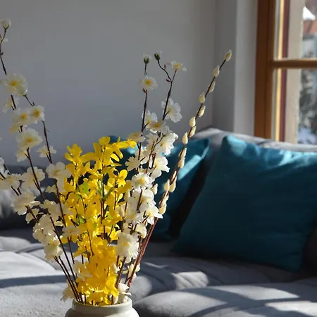 Familienparadies 87m2 - Haushaelfte Mit Garten Apartment
