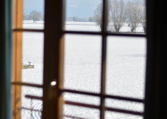 Apartment Familienparadies 87m2 - Haushaelfte Mit Garten